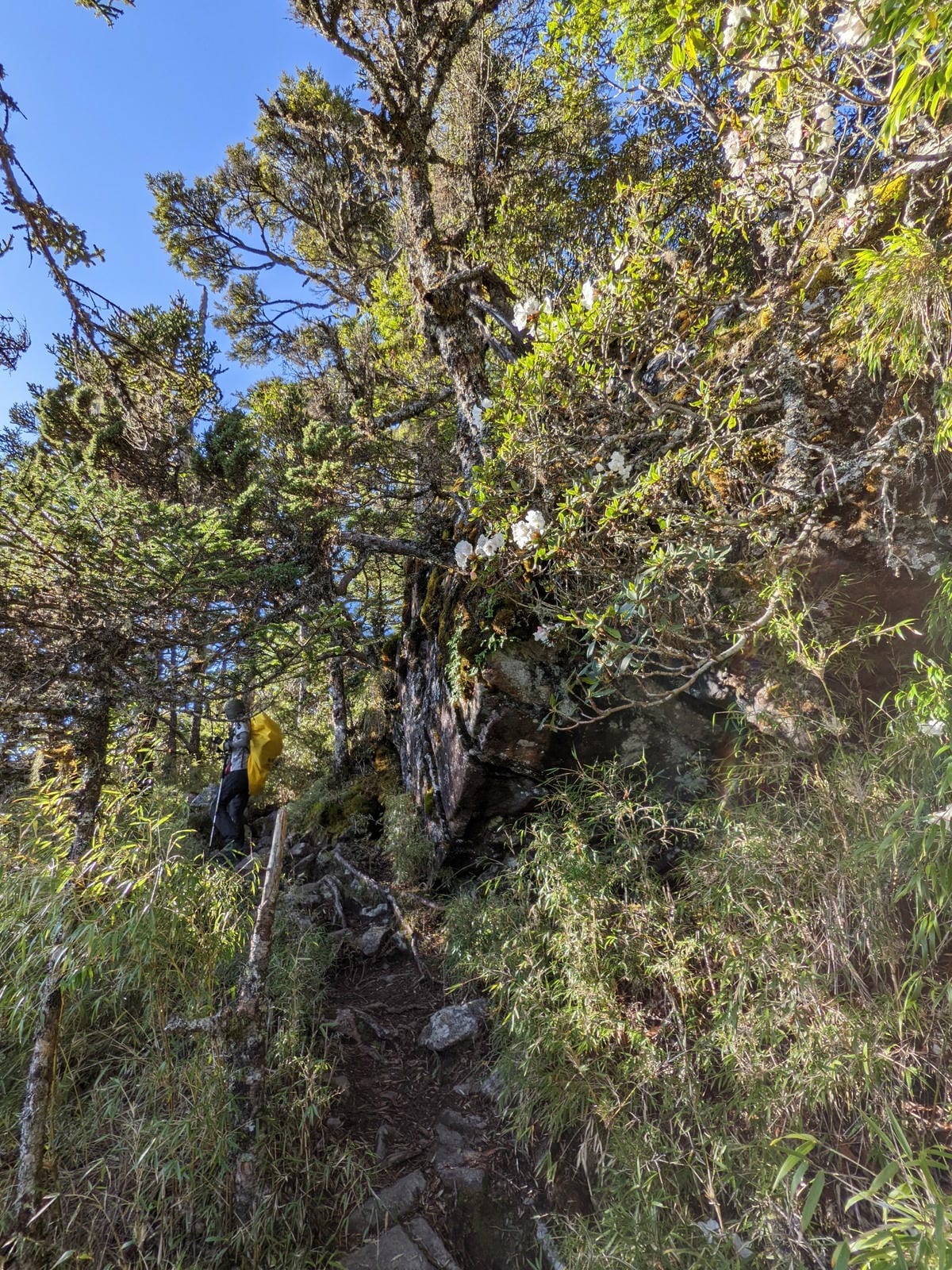 南橫F4 庫哈諾辛山&關山｜夜宿庫哈諾辛山屋｜關山GO