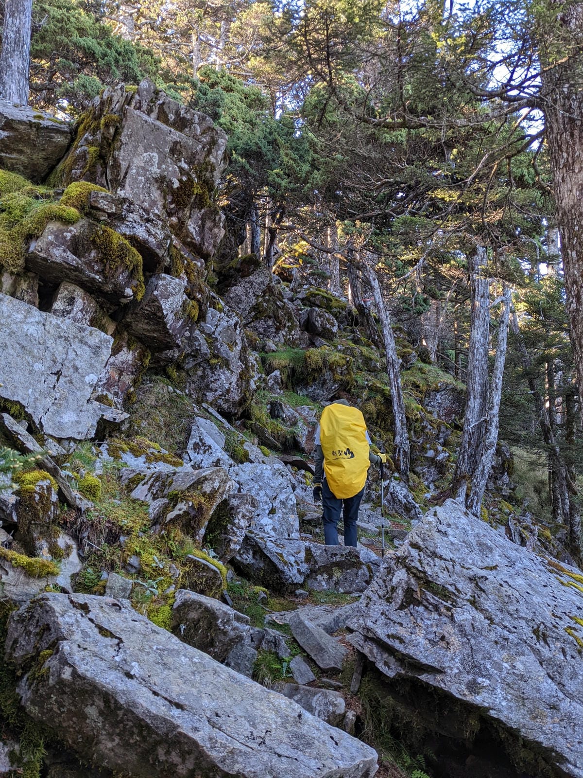 南橫F4 庫哈諾辛山&關山｜夜宿庫哈諾辛山屋｜關山GO