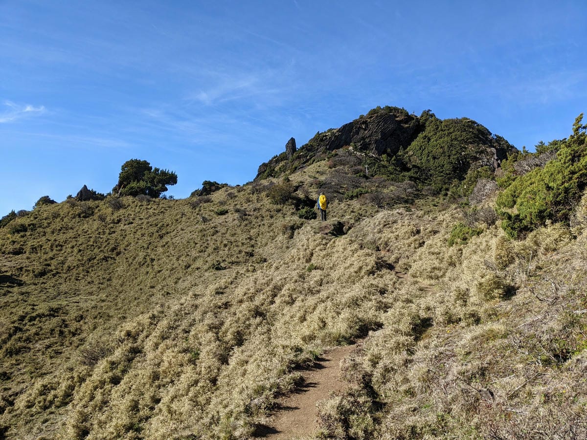 南橫F4 庫哈諾辛山&關山|夜宿庫哈諾辛山屋|關山GO - 第34張圖 南橫F4 庫哈諾辛山&關山|夜宿庫哈諾辛山屋|關山GO