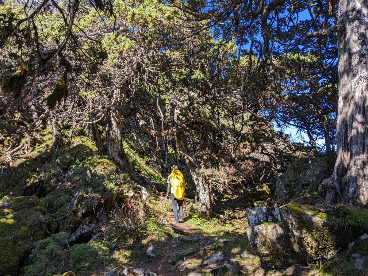 南橫F4 庫哈諾辛山&關山｜夜宿庫哈諾辛山屋｜關山GO