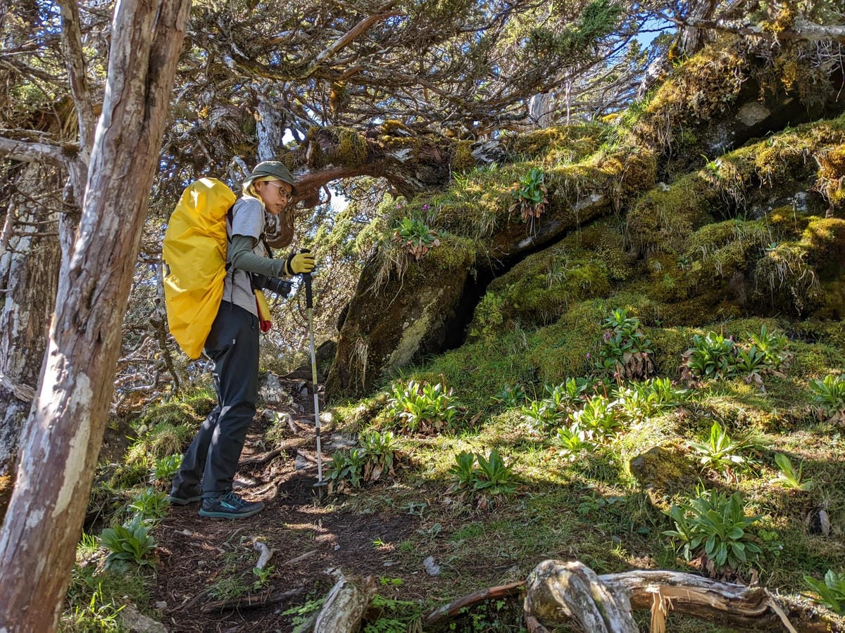 南橫F4 庫哈諾辛山&關山｜夜宿庫哈諾辛山屋｜關山GO