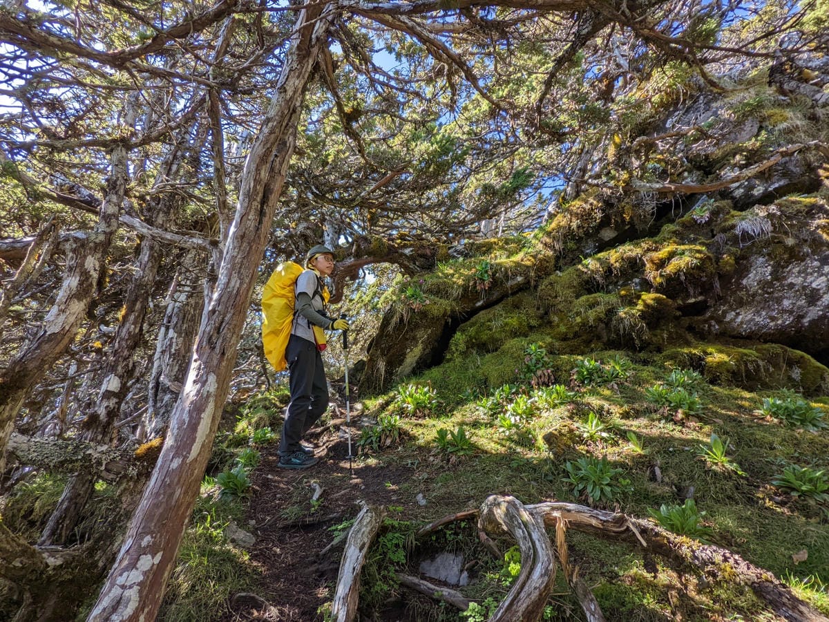 南橫F4 庫哈諾辛山&關山｜夜宿庫哈諾辛山屋｜關山GO