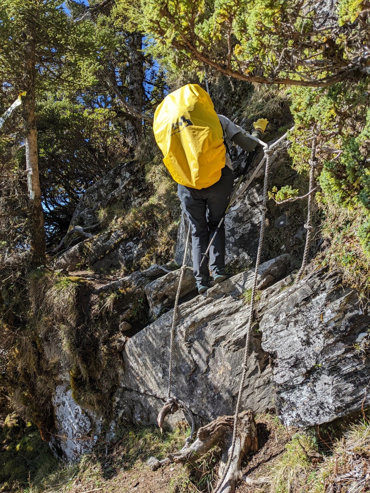 南橫F4 庫哈諾辛山&關山｜夜宿庫哈諾辛山屋｜關山GO