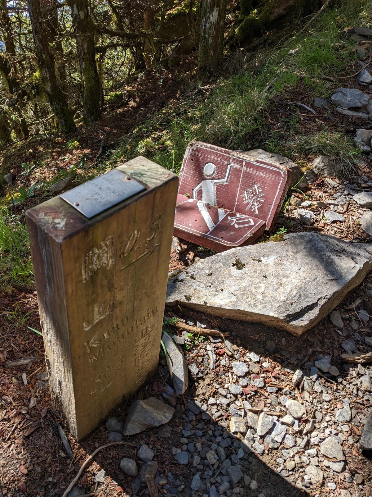 南橫F4 庫哈諾辛山&關山|夜宿庫哈諾辛山屋|關山GO - 第51張圖 南橫F4 庫哈諾辛山&關山|夜宿庫哈諾辛山屋|關山GO