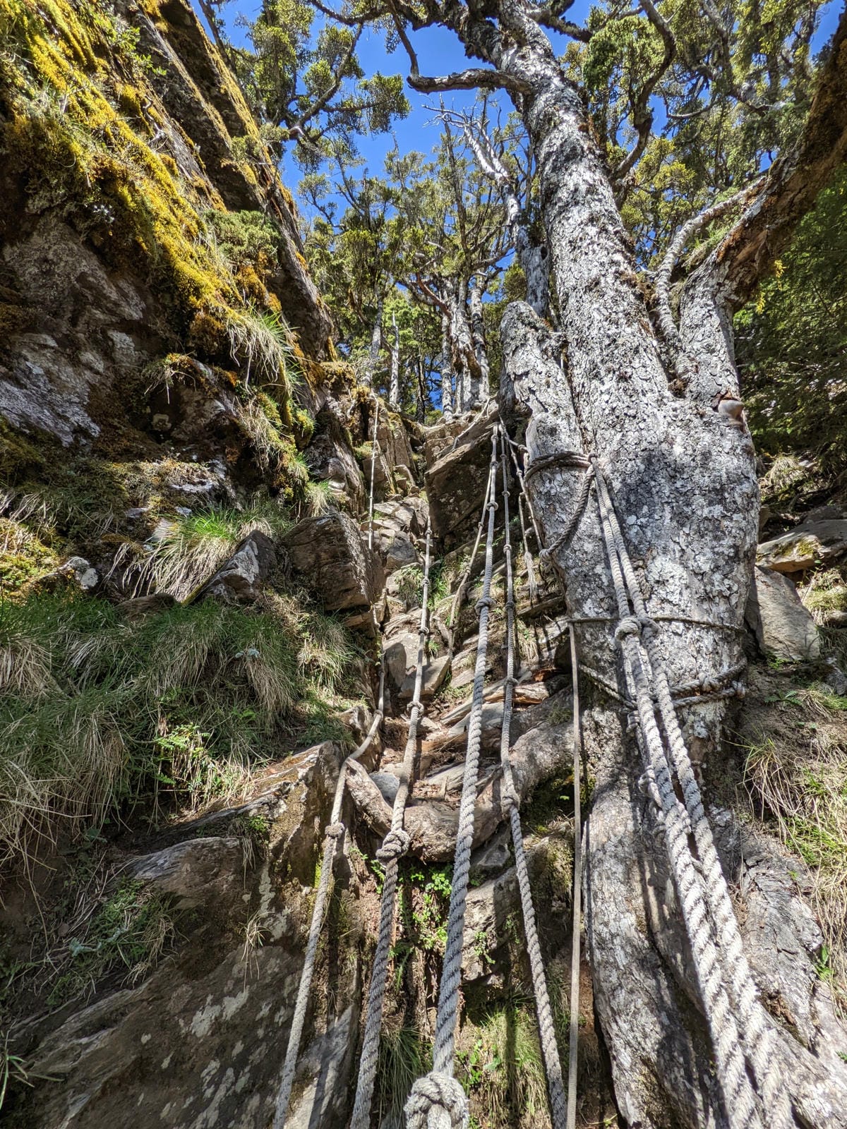 南橫F4 庫哈諾辛山&關山|夜宿庫哈諾辛山屋|關山GO - 第53張圖 南橫F4 庫哈諾辛山&關山|夜宿庫哈諾辛山屋|關山GO