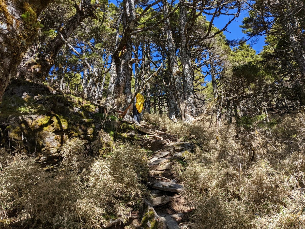 南橫F4 庫哈諾辛山&關山|夜宿庫哈諾辛山屋|關山GO - 第54張圖 南橫F4 庫哈諾辛山&關山|夜宿庫哈諾辛山屋|關山GO