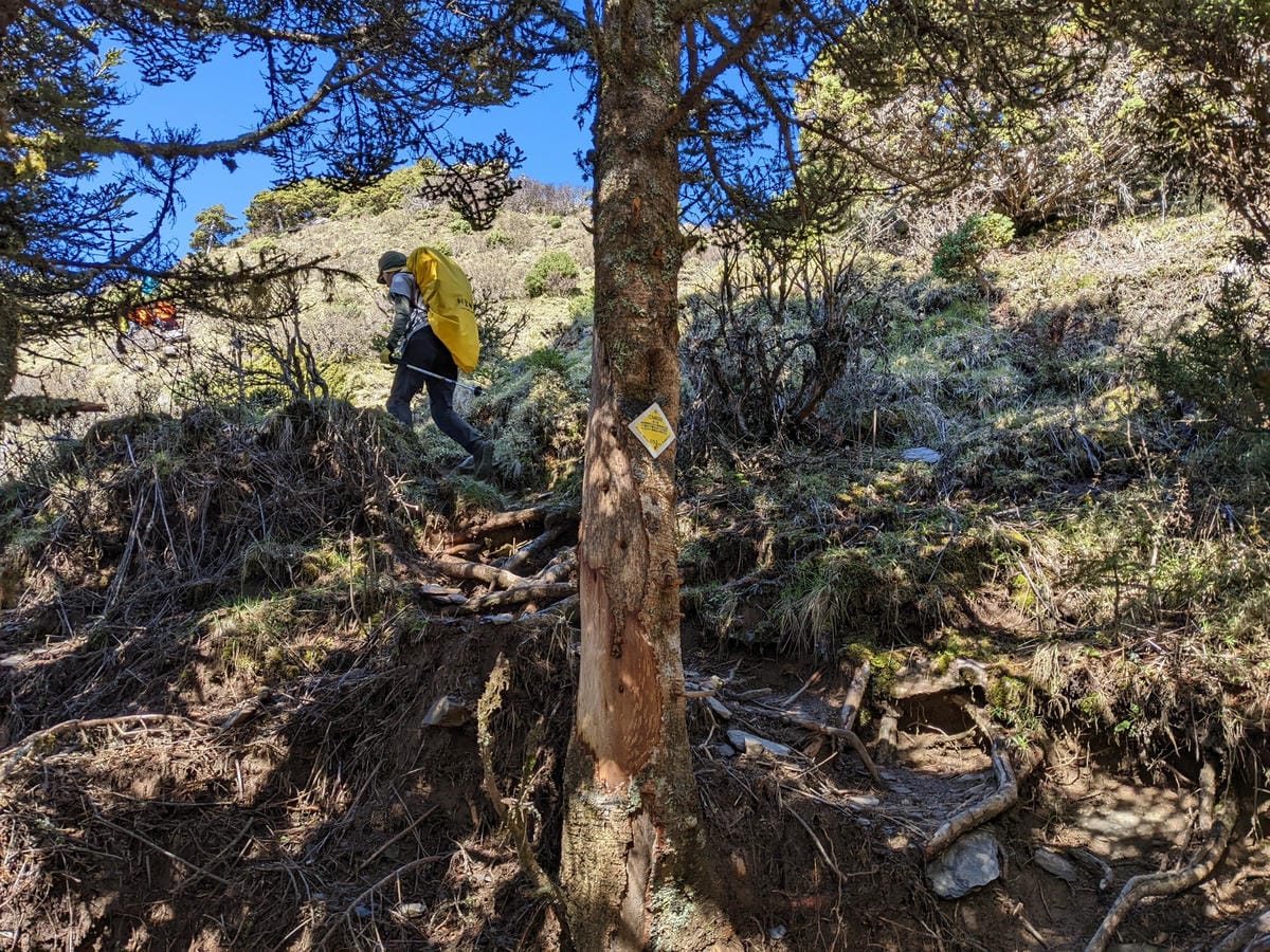 南橫F4 庫哈諾辛山&關山｜夜宿庫哈諾辛山屋｜關山GO