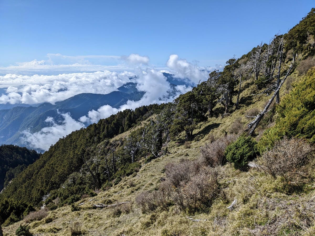 南橫F4 庫哈諾辛山&關山|夜宿庫哈諾辛山屋|關山GO - 第59張圖 南橫F4 庫哈諾辛山&關山|夜宿庫哈諾辛山屋|關山GO