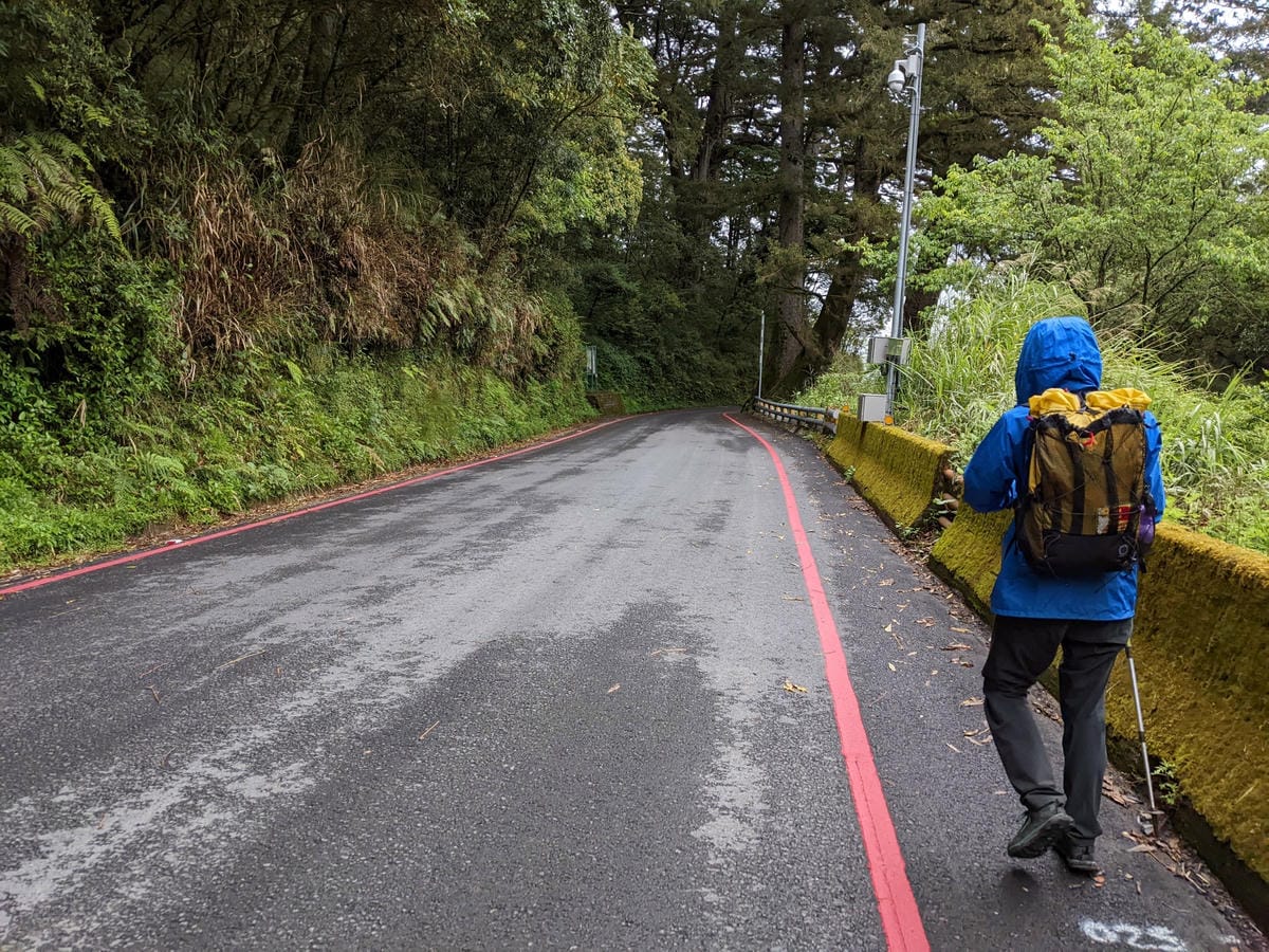 南橫F4塔關山｜樹根路滑還有斷崖都在南橫三星