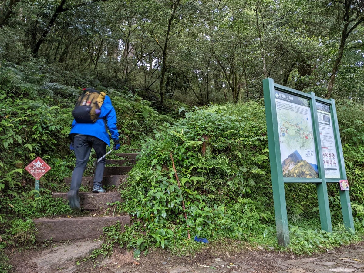 南橫F4塔關山｜樹根路滑還有斷崖都在南橫三星