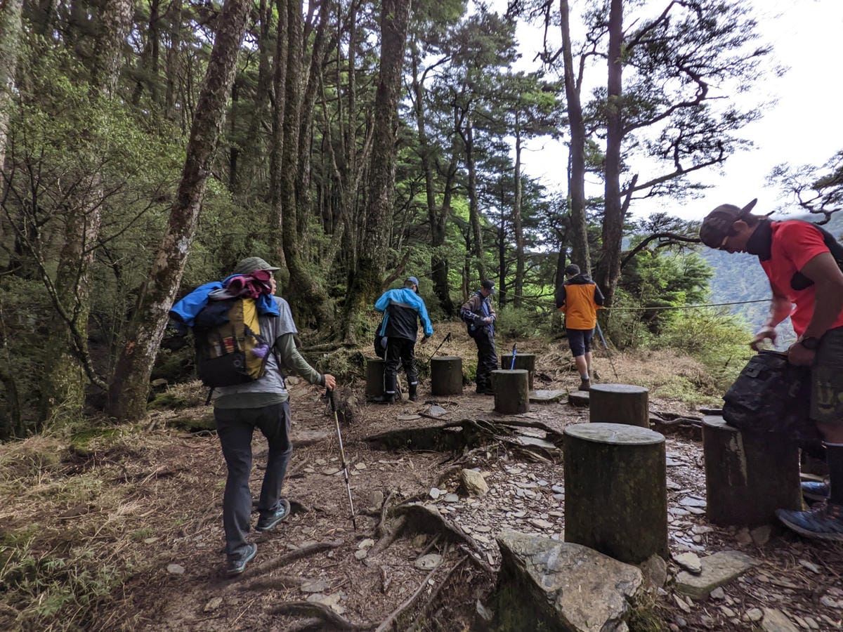 南橫F4塔關山｜樹根路滑還有斷崖都在南橫三星