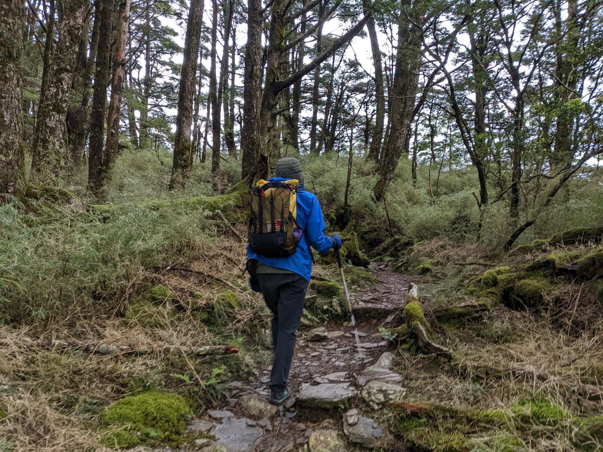 南橫F4塔關山｜樹根路滑還有斷崖都在南橫三星