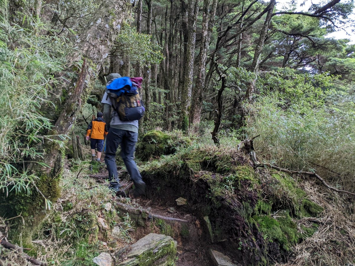 南橫F4塔關山｜樹根路滑還有斷崖都在南橫三星