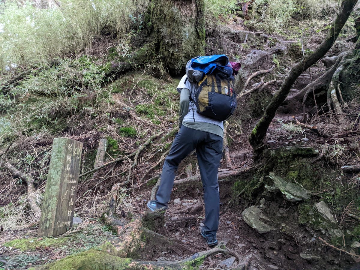南橫F4塔關山｜樹根路滑還有斷崖都在南橫三星