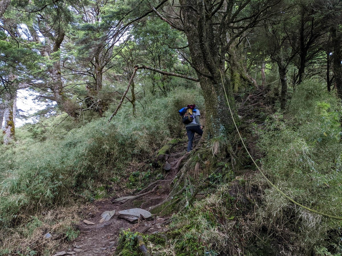 南橫F4塔關山｜樹根路滑還有斷崖都在南橫三星