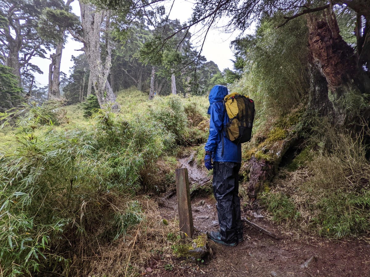 南橫F4塔關山｜樹根路滑還有斷崖都在南橫三星