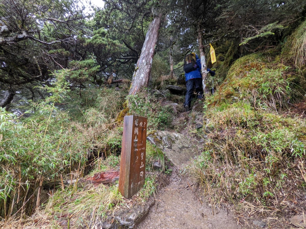 南橫F4塔關山｜樹根路滑還有斷崖都在南橫三星