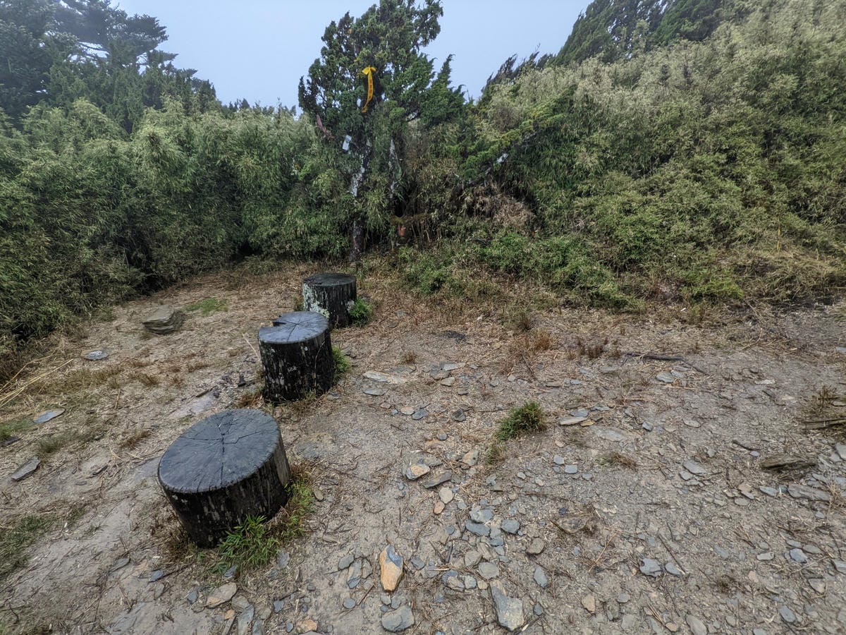 南橫F4塔關山｜樹根路滑還有斷崖都在南橫三星