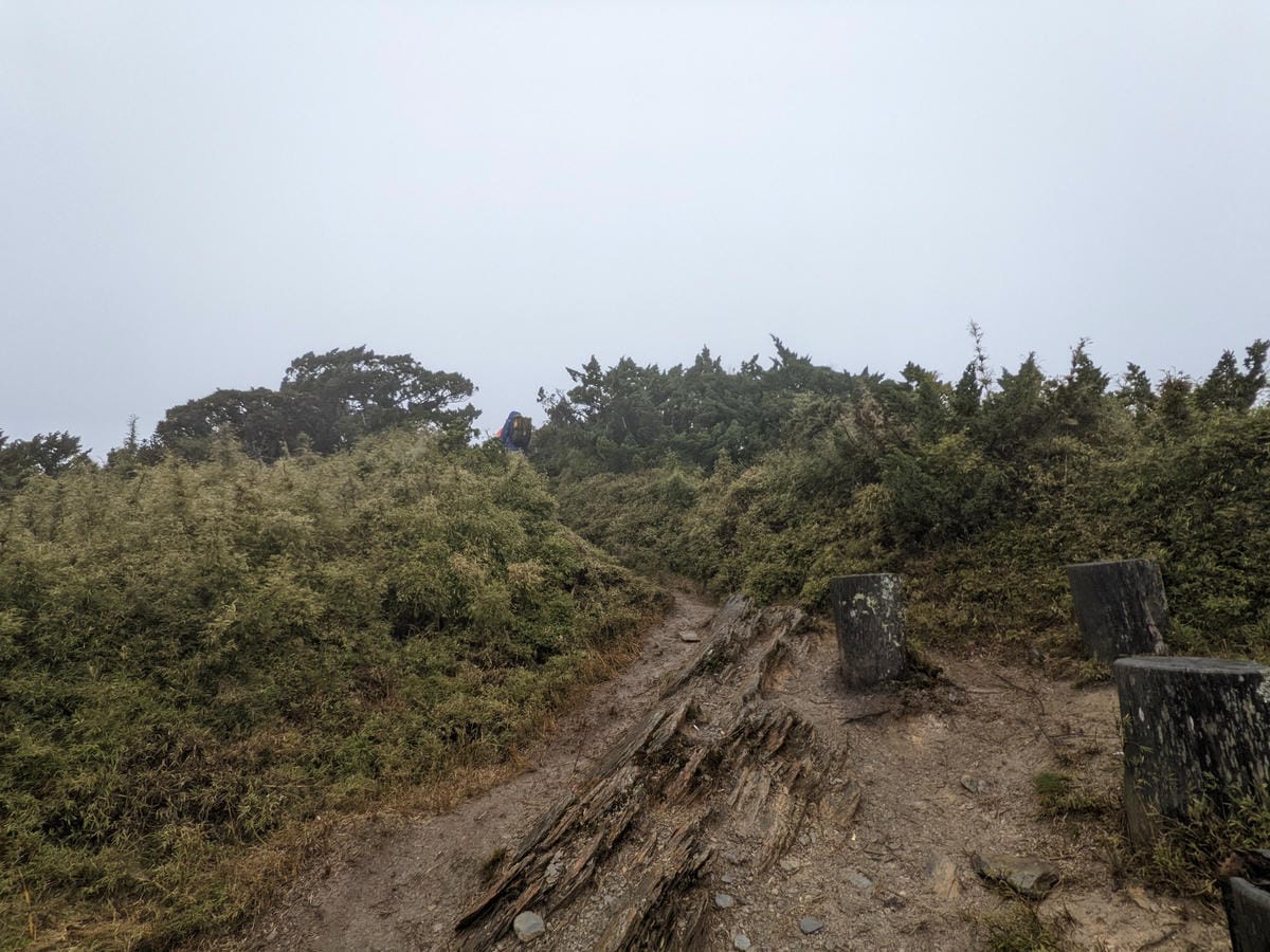 南橫F4塔關山｜樹根路滑還有斷崖都在南橫三星