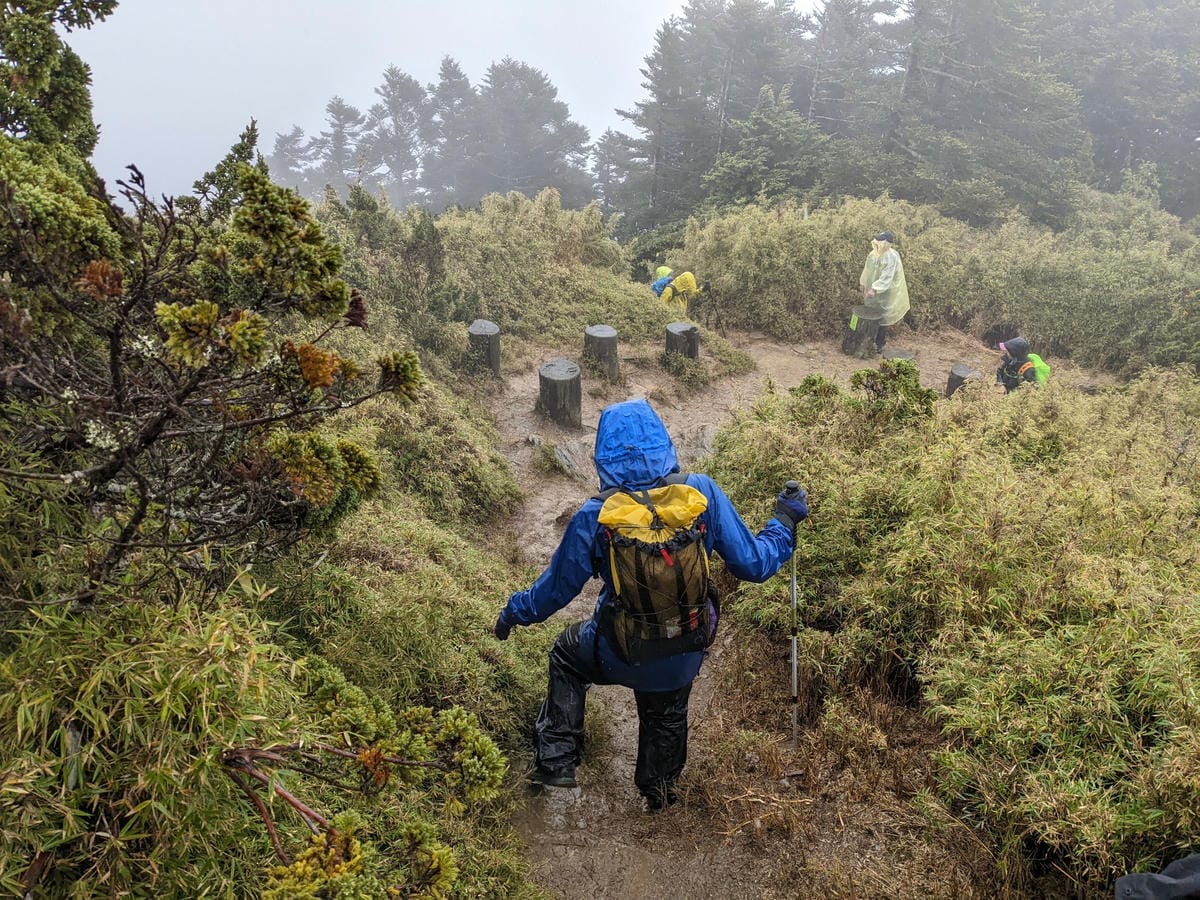 南橫F4塔關山｜樹根路滑還有斷崖都在南橫三星