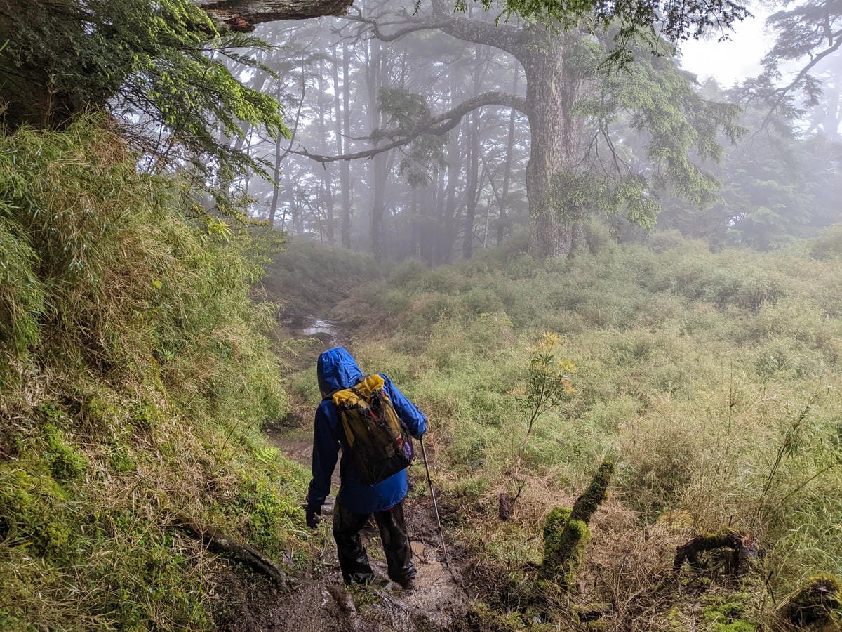 南橫F4塔關山｜樹根路滑還有斷崖都在南橫三星