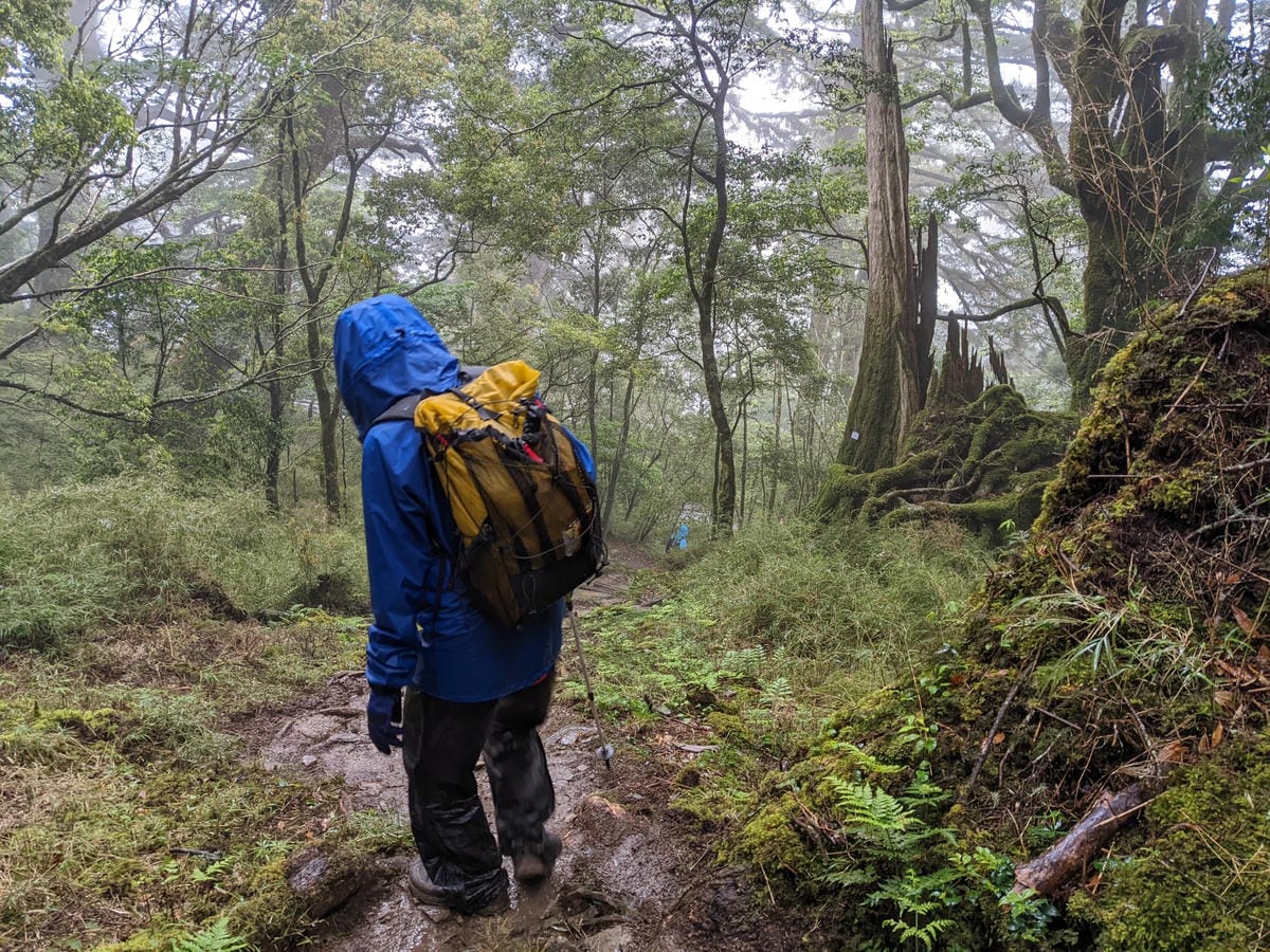 南橫F4塔關山｜樹根路滑還有斷崖都在南橫三星