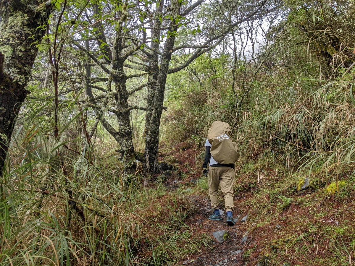 南橫F4 關山嶺山｜碎石坡走一步退兩步