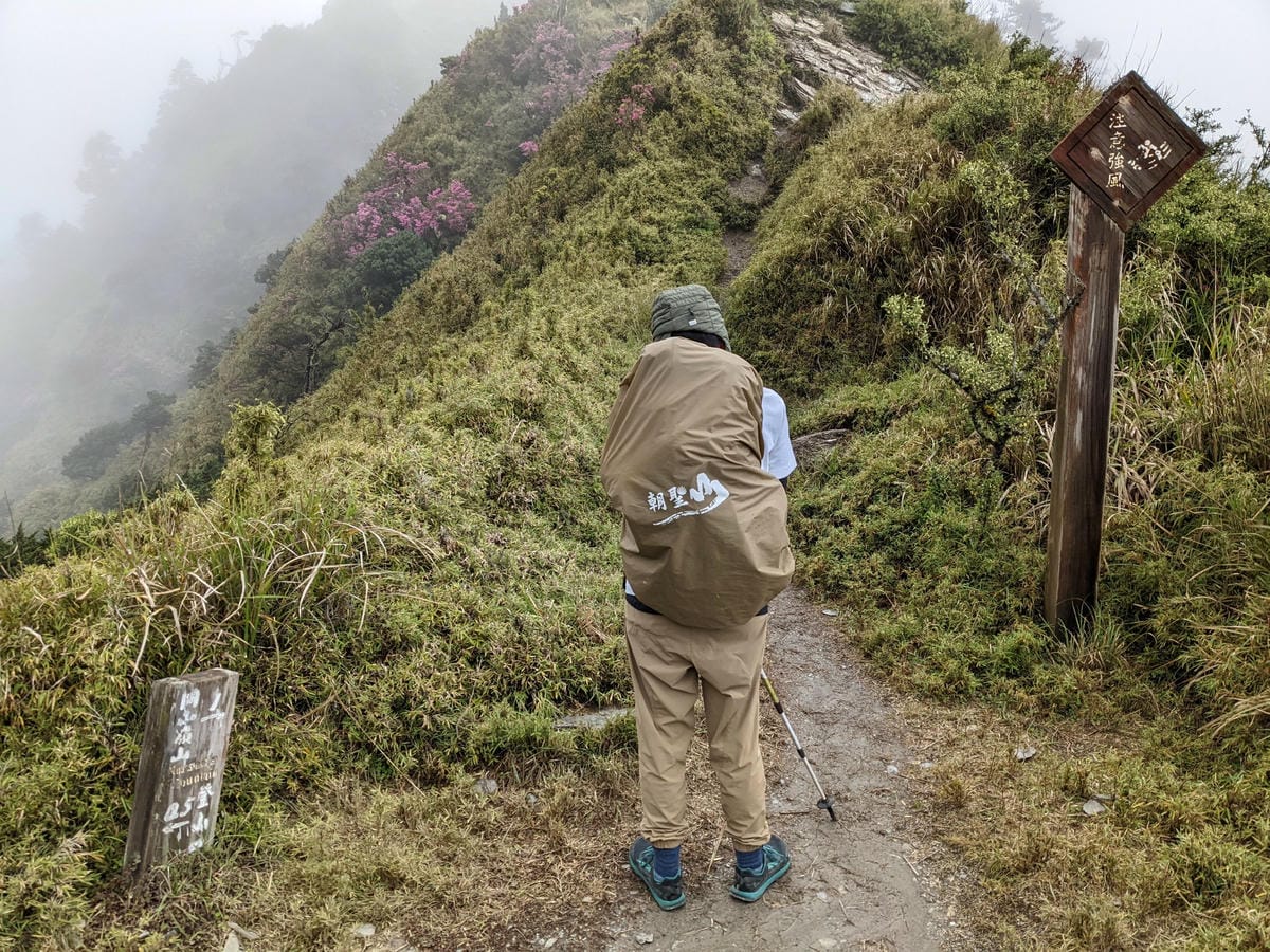 南橫F4 關山嶺山｜碎石坡走一步退兩步