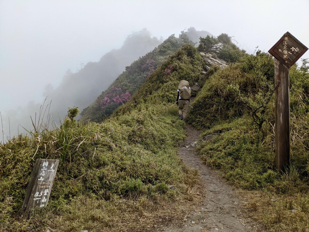 南橫F4 關山嶺山｜碎石坡走一步退兩步