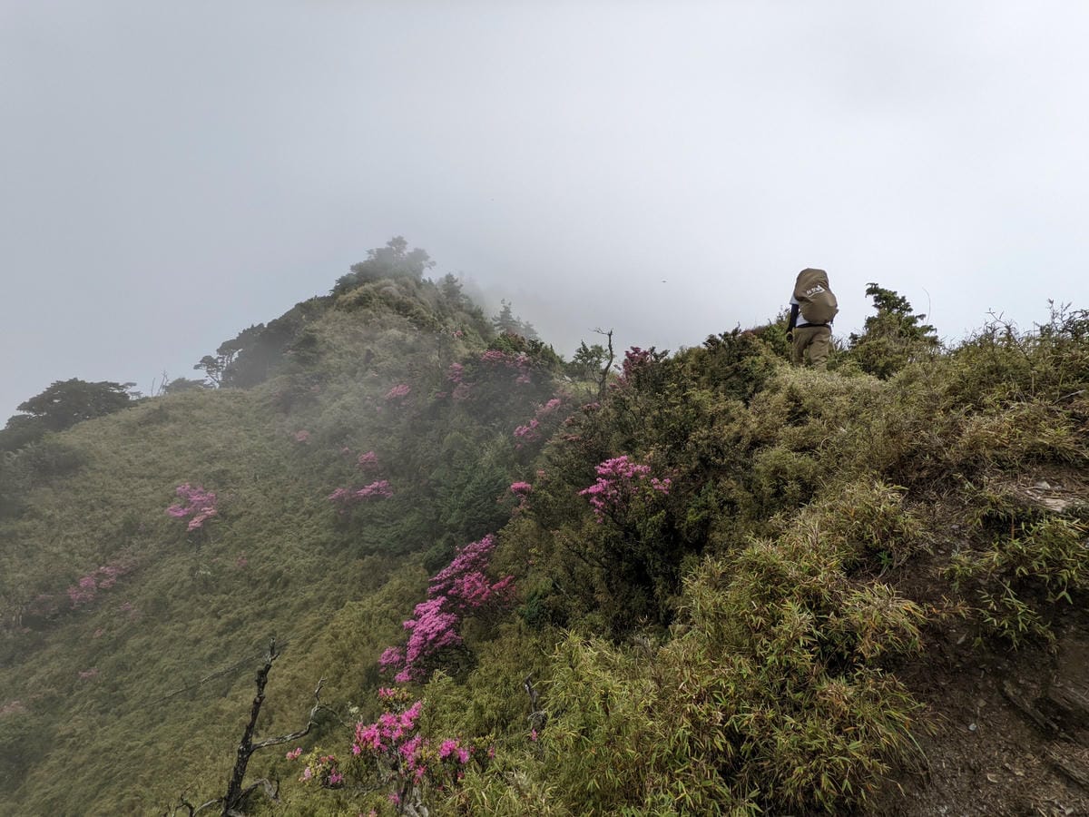 南橫F4 關山嶺山｜碎石坡走一步退兩步