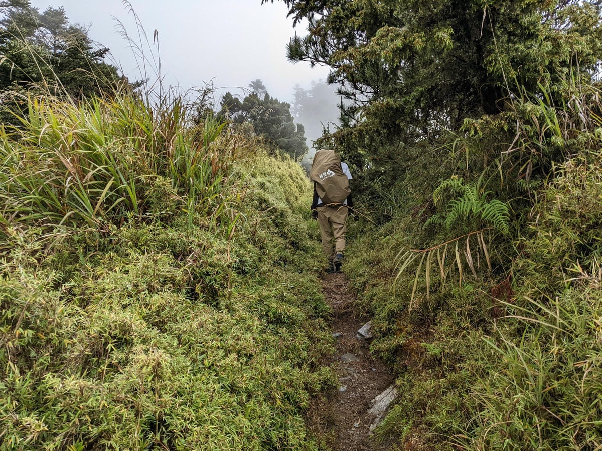 南橫F4 關山嶺山｜碎石坡走一步退兩步