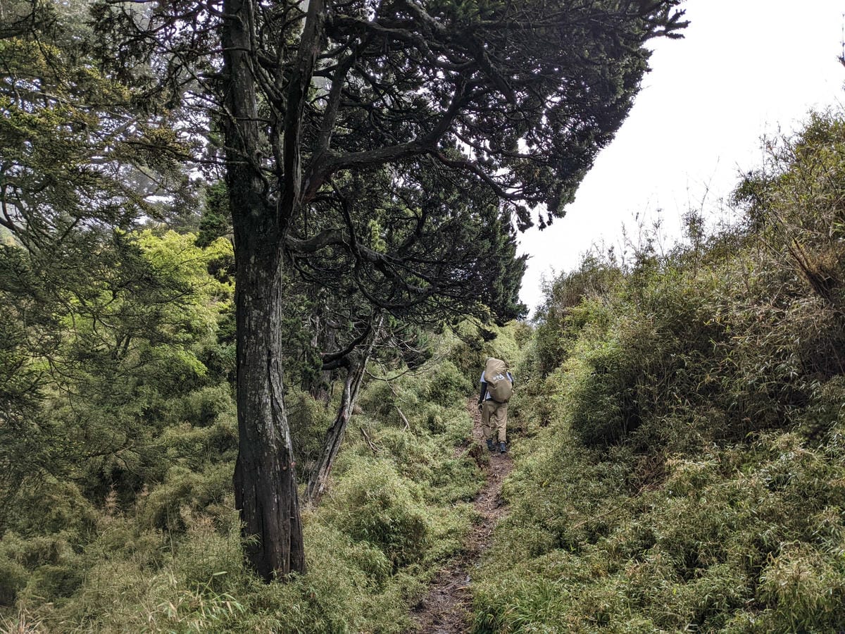 南橫F4 關山嶺山｜碎石坡走一步退兩步