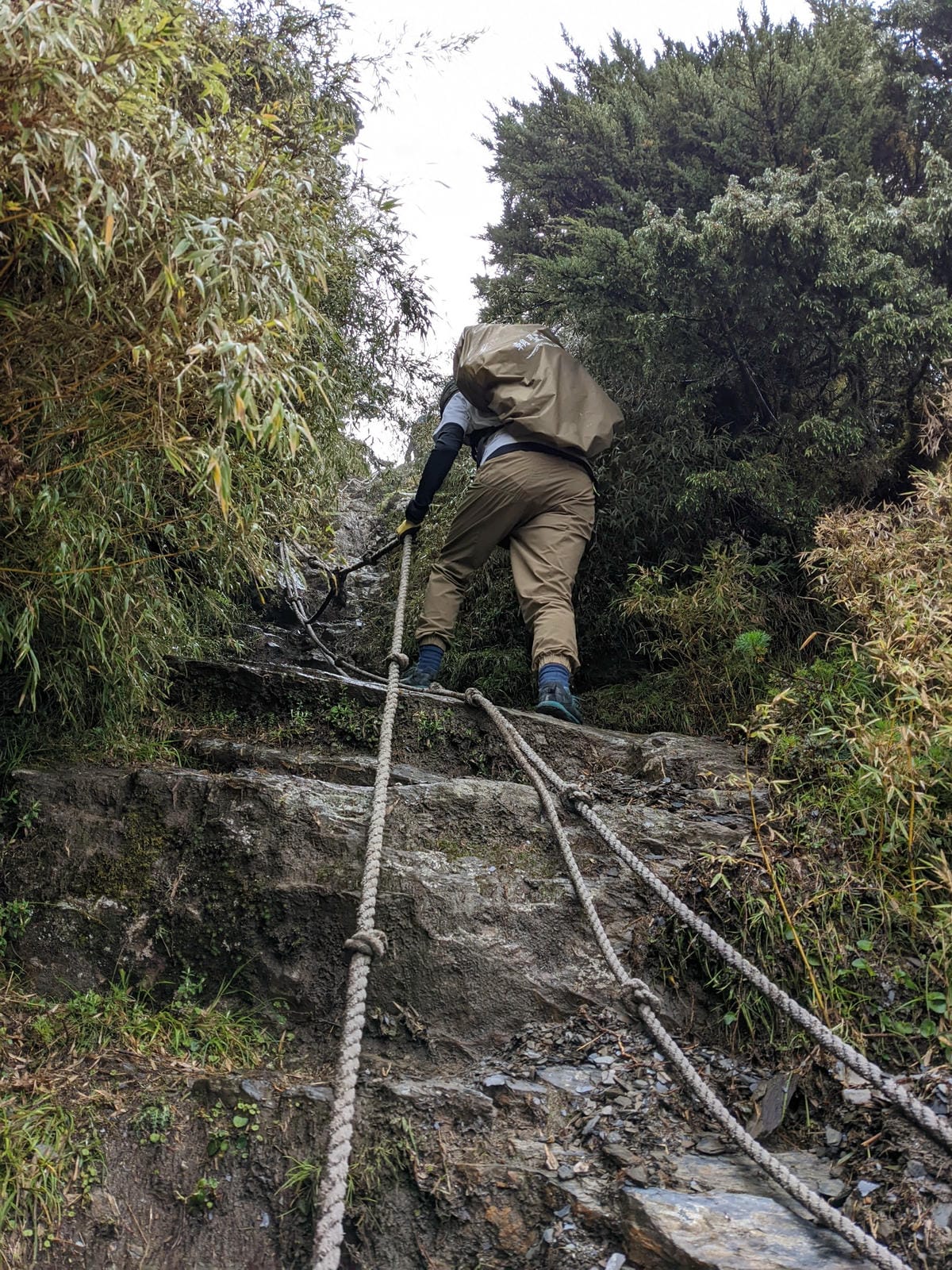 南橫F4 關山嶺山｜碎石坡走一步退兩步
