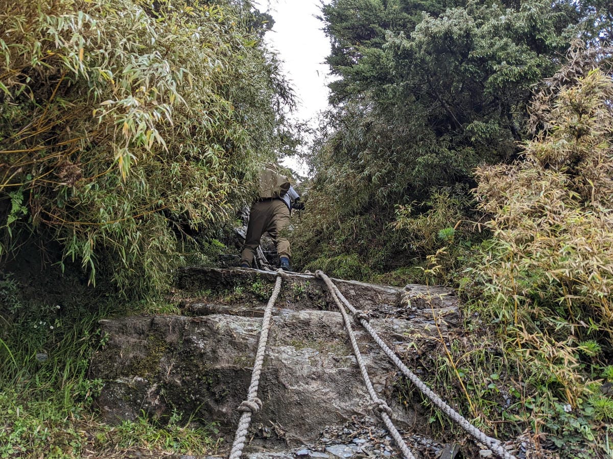 南橫F4 關山嶺山｜碎石坡走一步退兩步