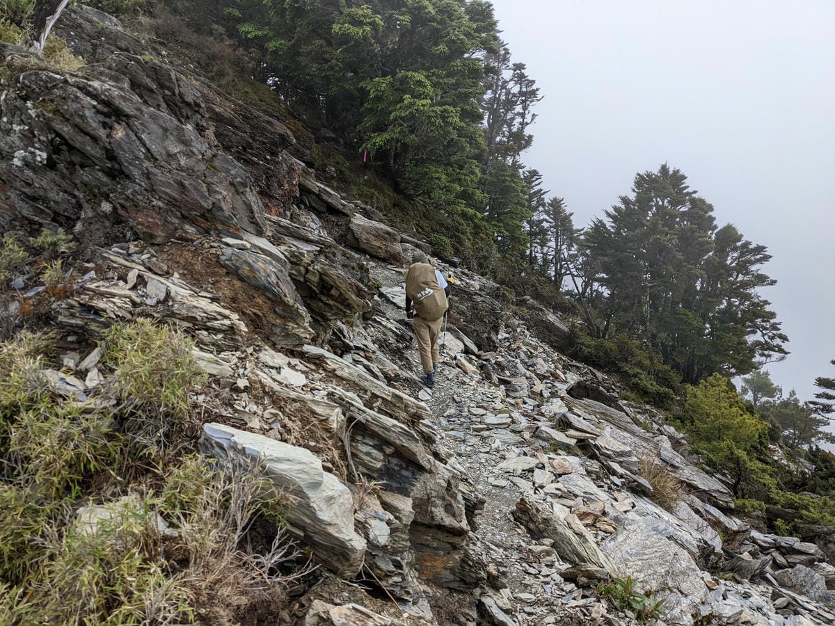南橫F4 關山嶺山｜碎石坡走一步退兩步