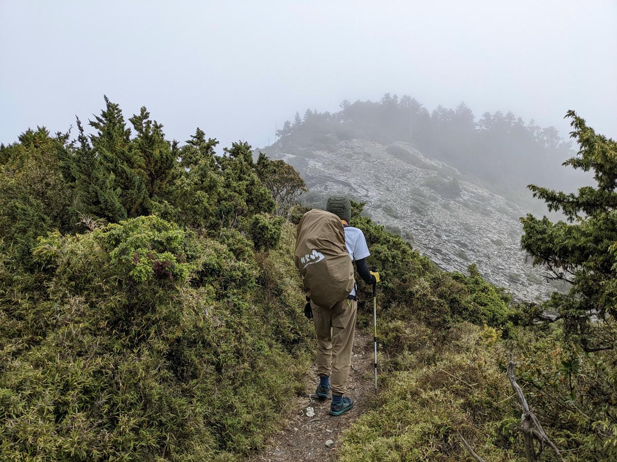 南橫F4 關山嶺山｜碎石坡走一步退兩步