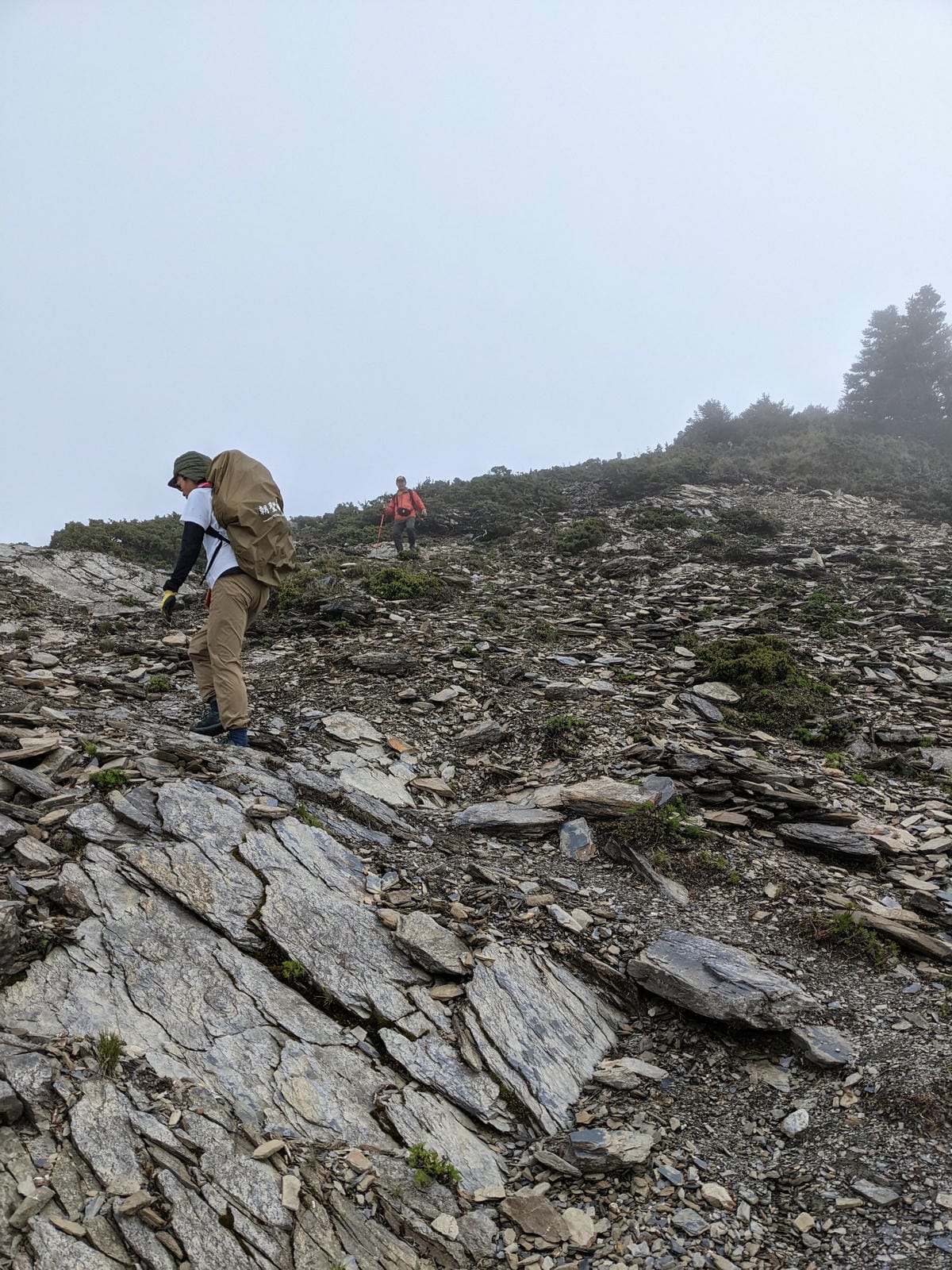 南橫F4 關山嶺山｜碎石坡走一步退兩步