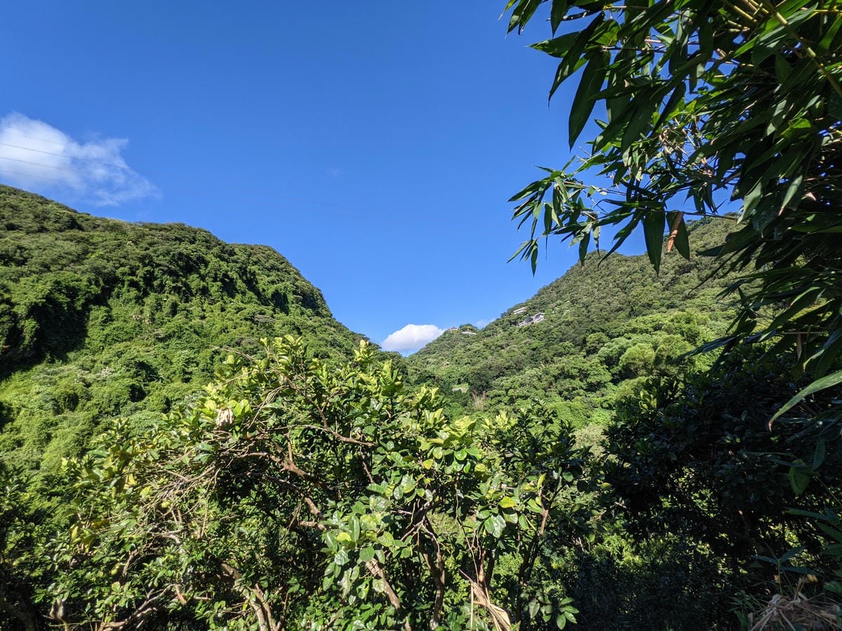 台北內湖 龍船岩非傳統的挑戰路線 迷你版五寮尖練腿推薦