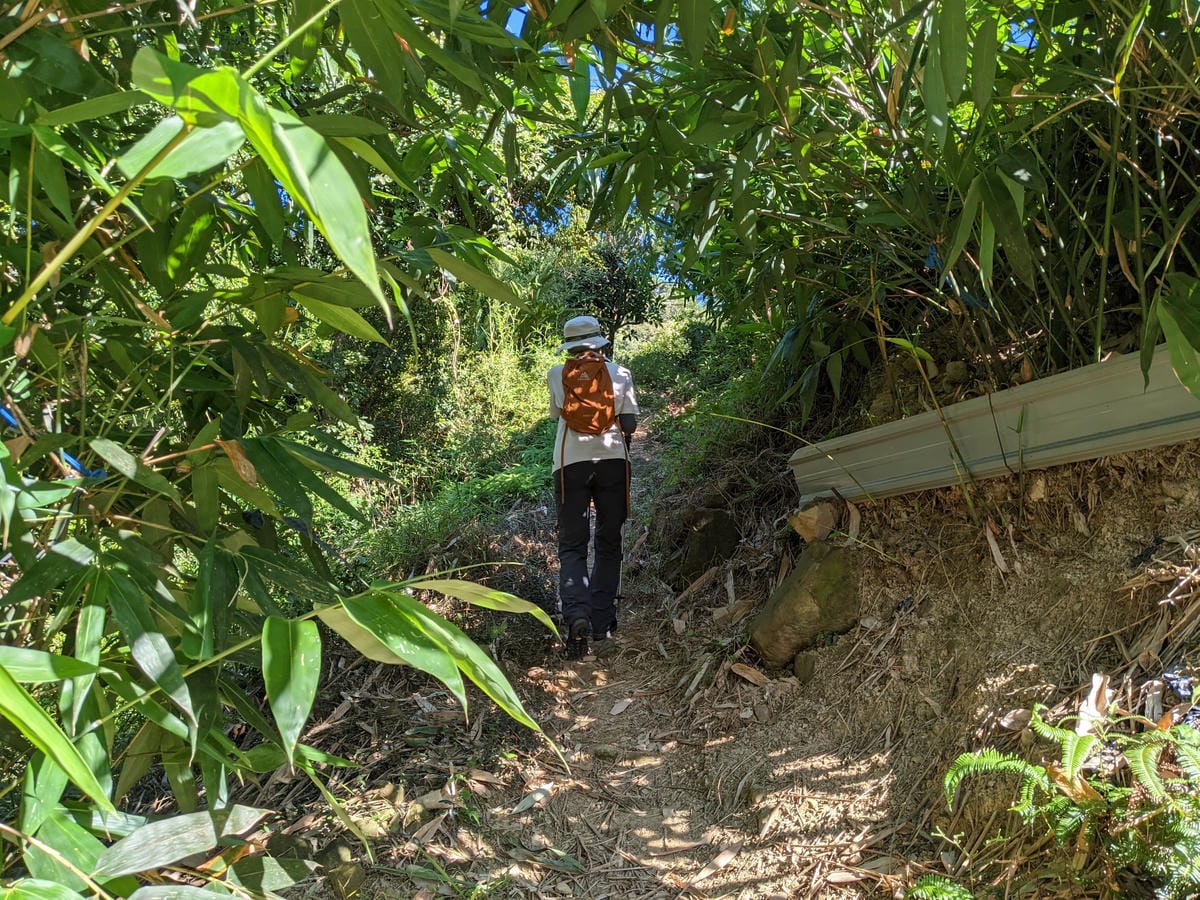 台北內湖 龍船岩非傳統的挑戰路線 迷你版五寮尖練腿推薦