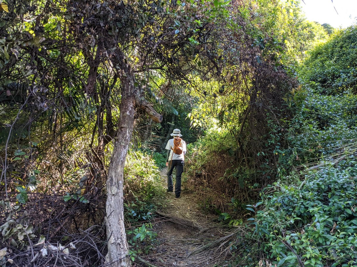 台北內湖 龍船岩非傳統的挑戰路線 迷你版五寮尖練腿推薦