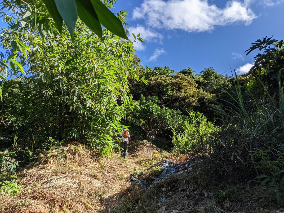 台北內湖 龍船岩非傳統的挑戰路線 迷你版五寮尖練腿推薦
