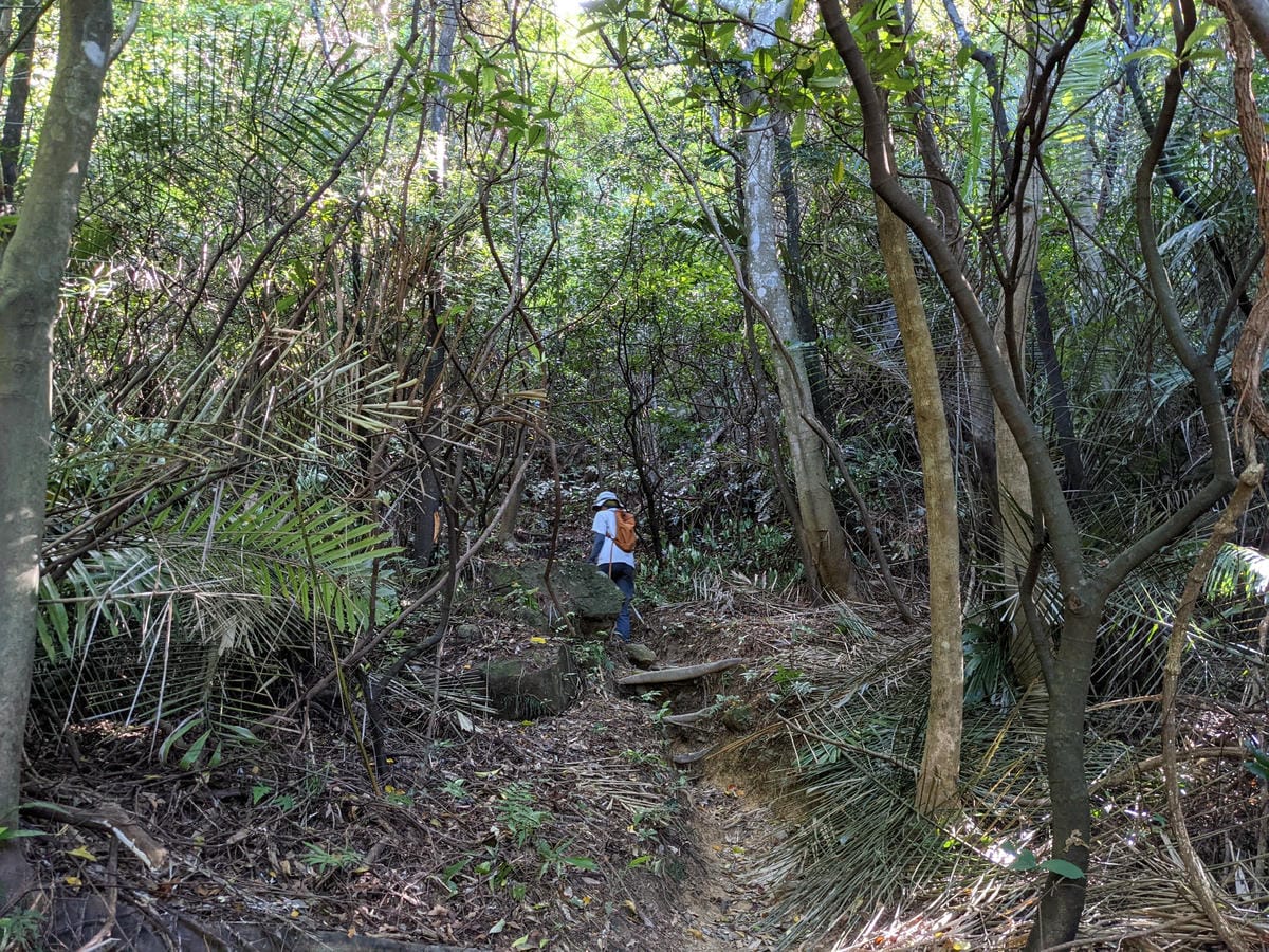 台北內湖 龍船岩非傳統的挑戰路線 迷你版五寮尖練腿推薦