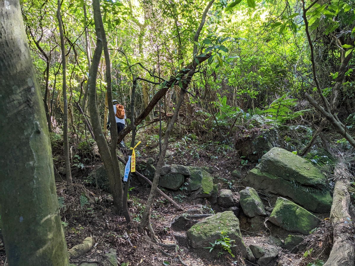 台北內湖 龍船岩非傳統的挑戰路線 迷你版五寮尖練腿推薦