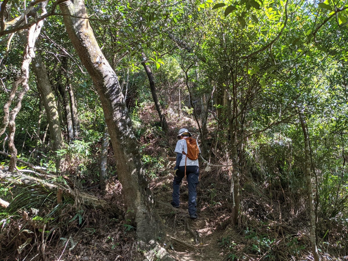 台北內湖 龍船岩非傳統的挑戰路線 迷你版五寮尖練腿推薦
