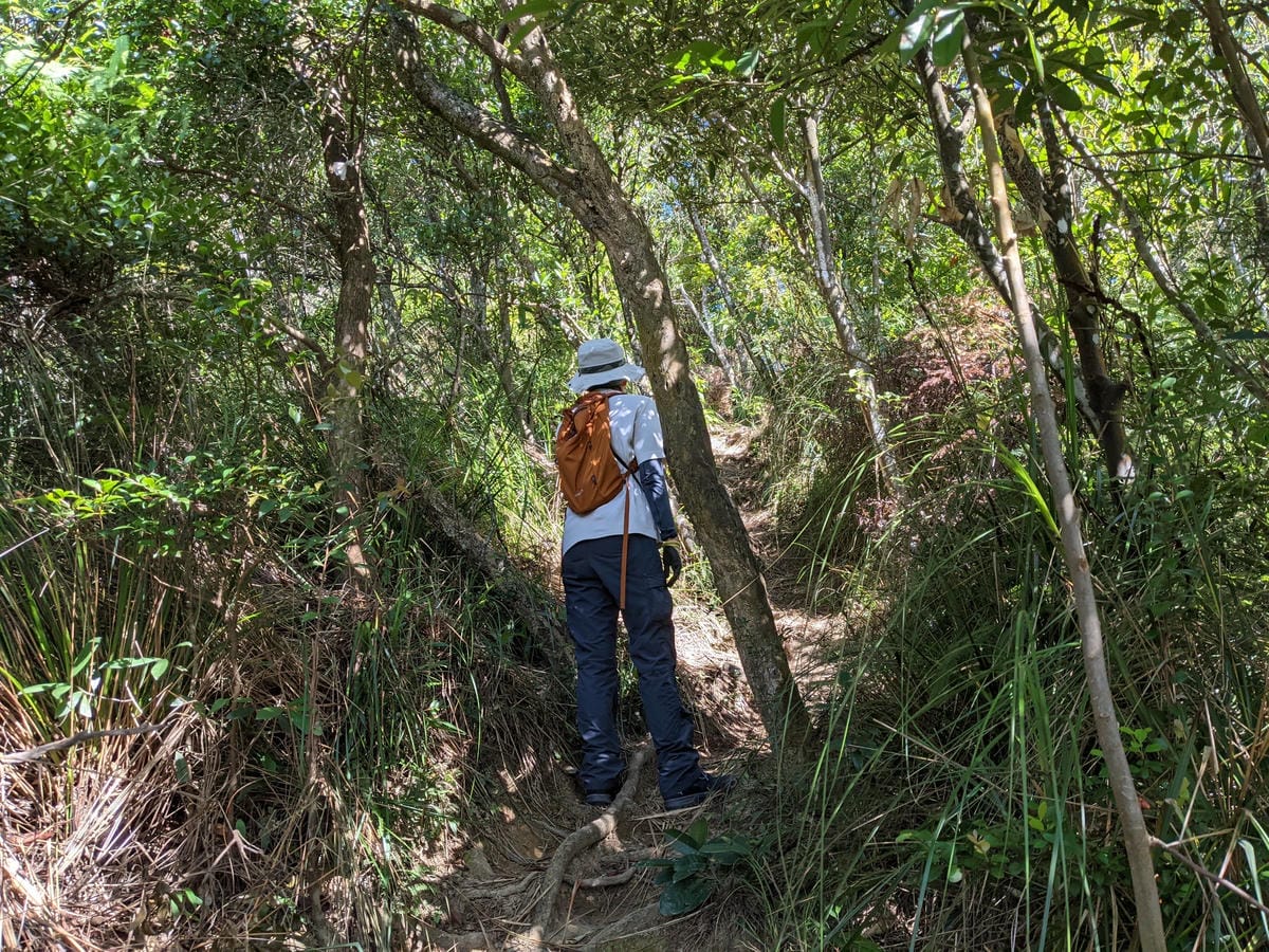 台北內湖 龍船岩非傳統的挑戰路線 迷你版五寮尖練腿推薦