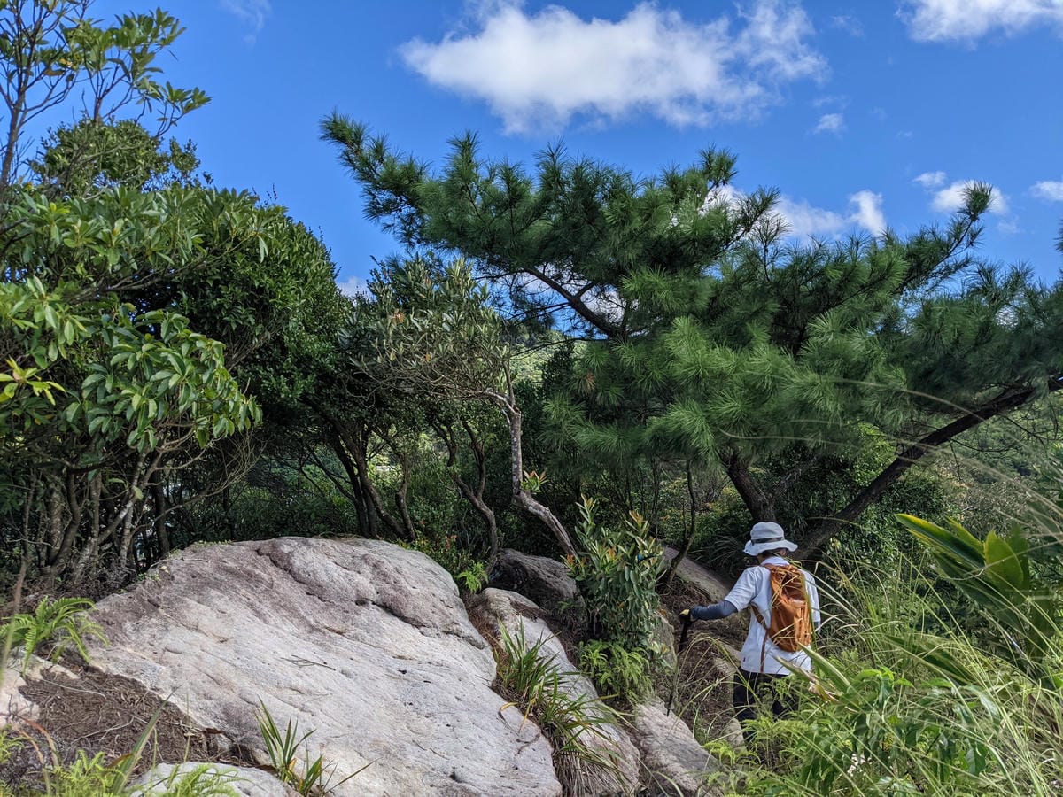 台北內湖 龍船岩非傳統的挑戰路線 迷你版五寮尖練腿推薦
