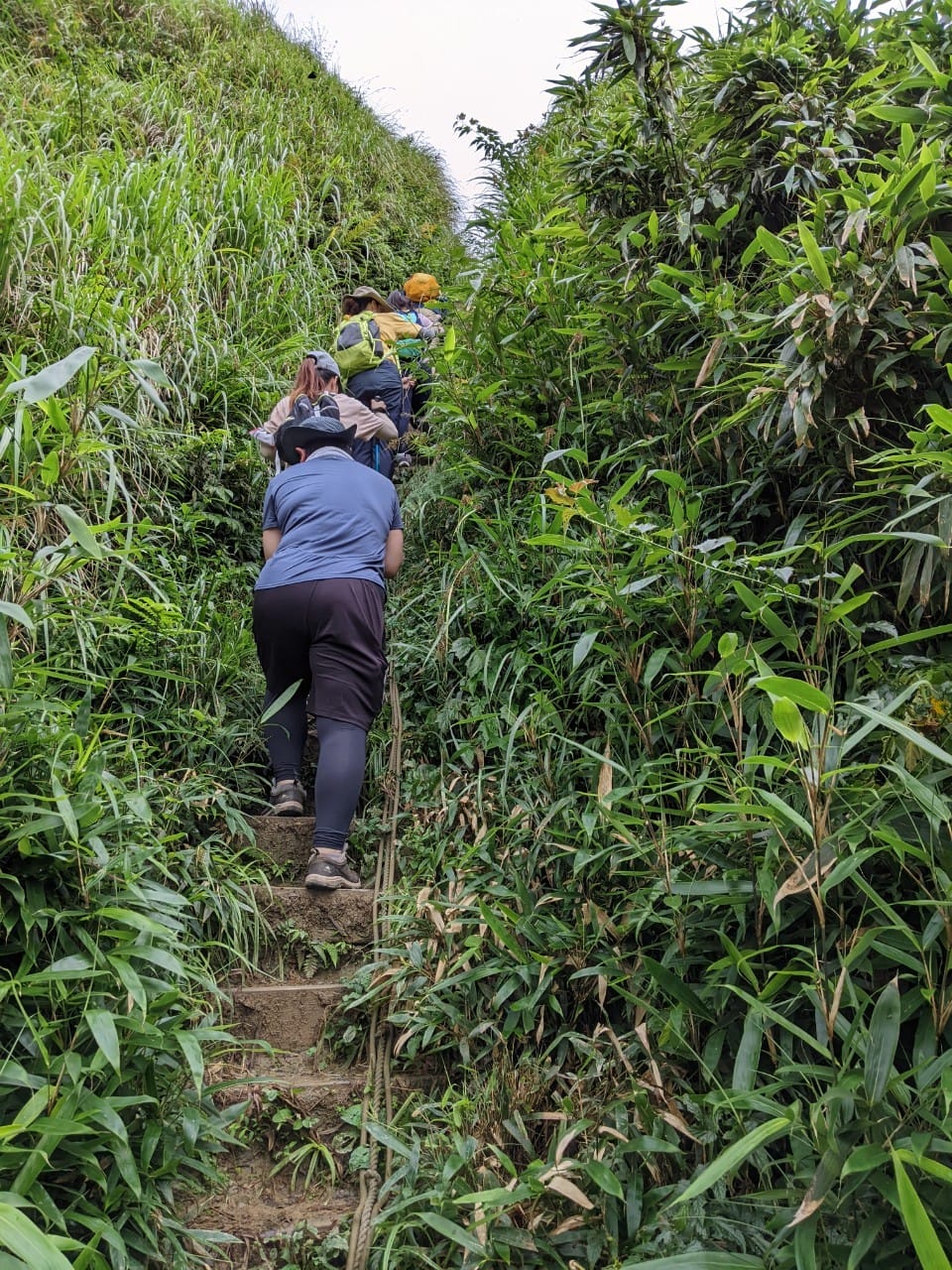 宜蘭抹茶山大景｜三角崙山群峰收小百岳順便成為泥娃娃