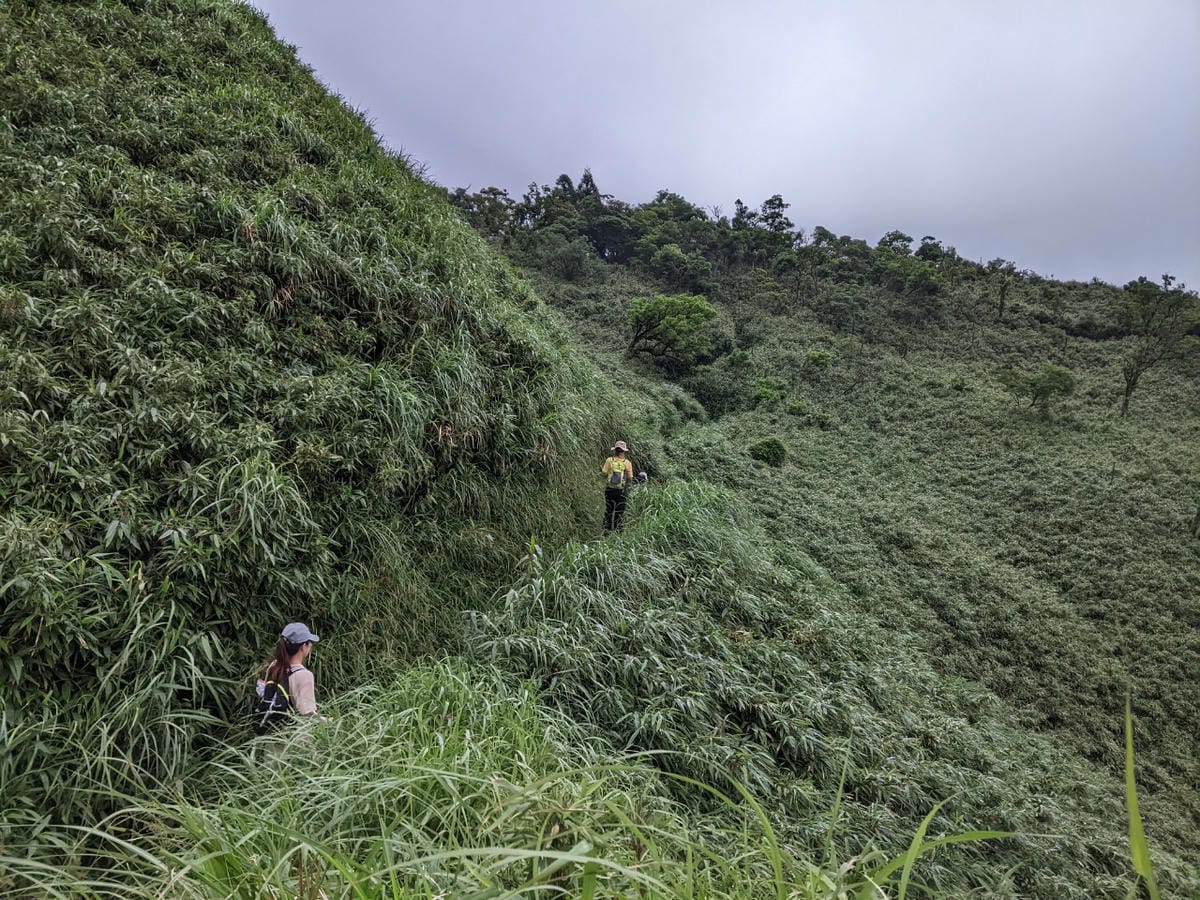 宜蘭抹茶山大景｜三角崙山群峰收小百岳順便成為泥娃娃