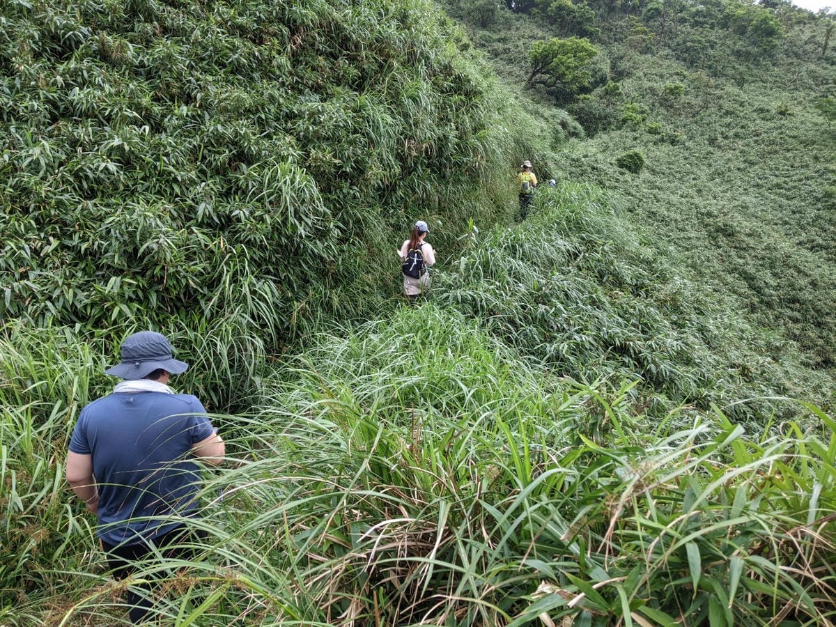 宜蘭抹茶山大景｜三角崙山群峰收小百岳順便成為泥娃娃