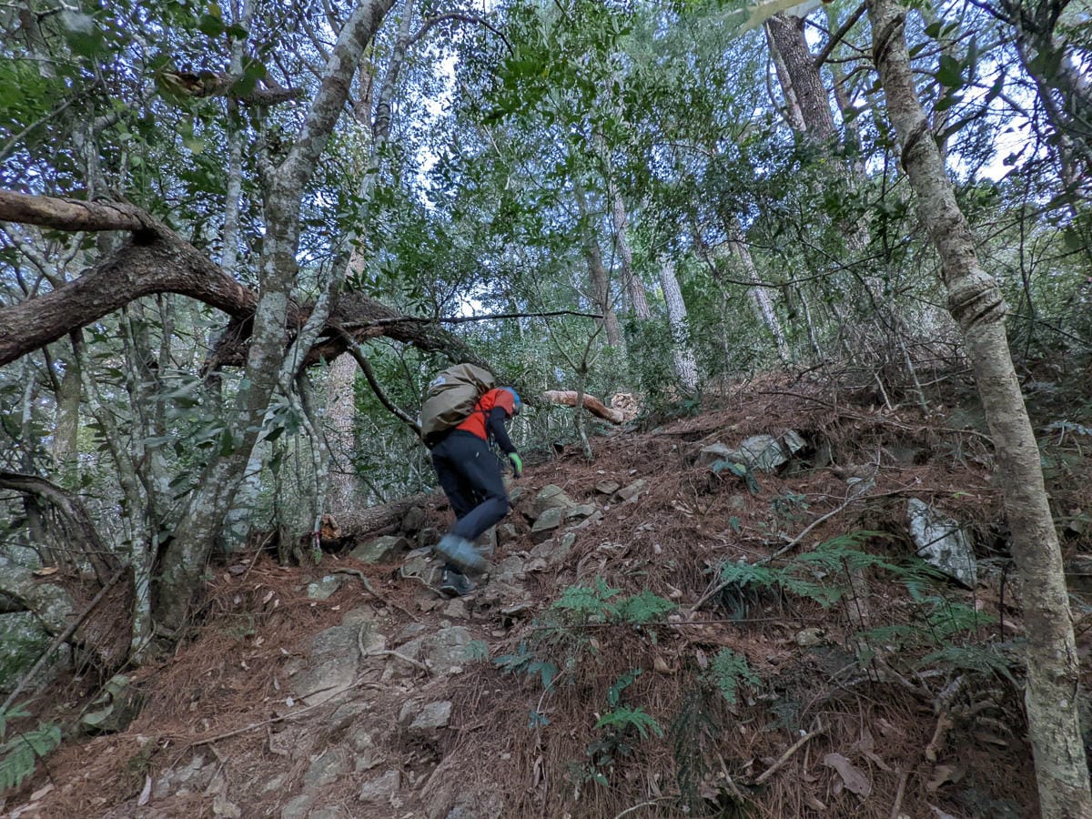 谷關七雄東卯山東南稜縱走德芙蘭|石瀑攀爬沒有極限 - 第2張圖 谷關七雄東卯山東南稜縱走德芙蘭|石瀑攀爬沒有極限